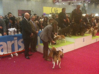 de l'écho du prieuré - SALON de l'AGRICULTURE PARIS01/03//13